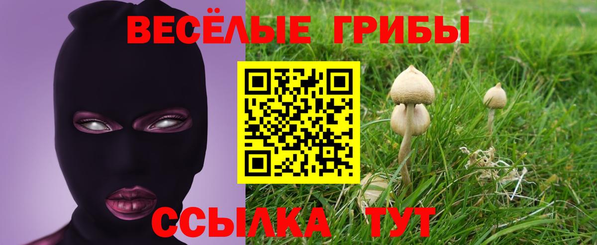 Лосино-Петровский  Псилоцибиновые грибы мухоморы  Вход с VPN 